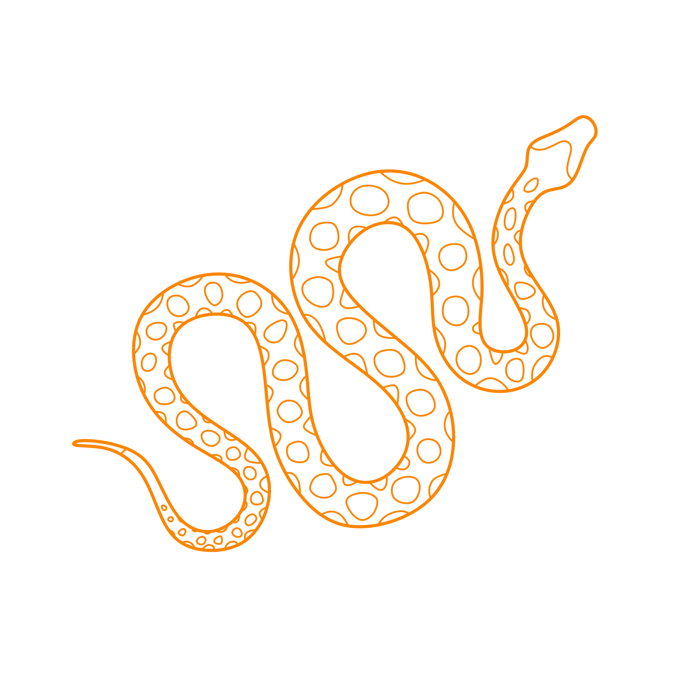 Animals Snakes Green Anaconda Line Art Illustration Svg Free Vectors